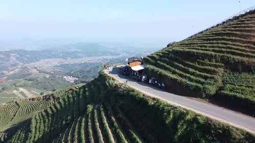 Magnifique colline en terrasses