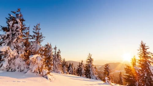 Beautiful Winter Landscape in the Mountains