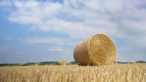 Time Lapse of Bales Straw on Wheat Field
