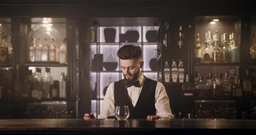 Bartender Pouring a Drink at a Classy Bar