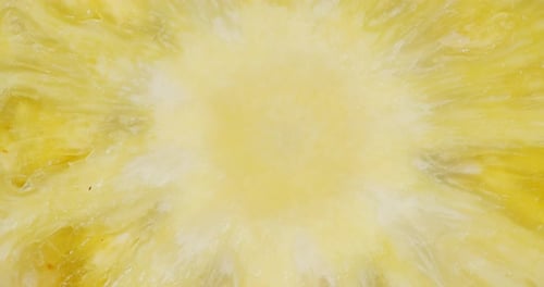 Close Up of a Fresh Pineapple Slice