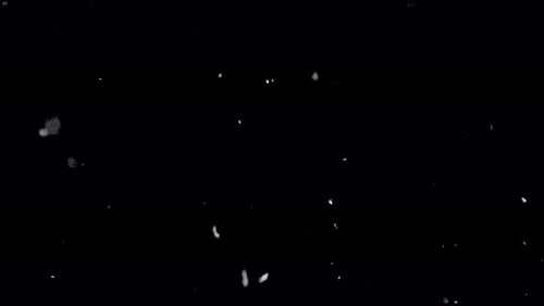 Particles dust