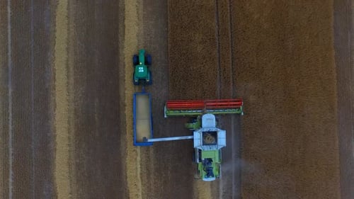 Combine Harvesting Grain in Field Aerial View