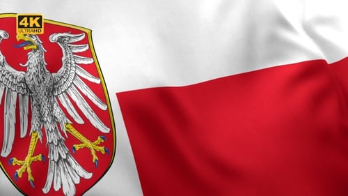 Bandera de la ciudad de Frankfurt am Main - 4K