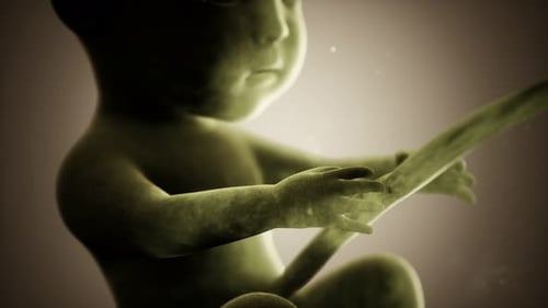 Animation médicale 3D d'un foetus humain