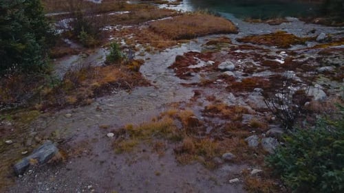 Bachwasser: fließendes gelbes
