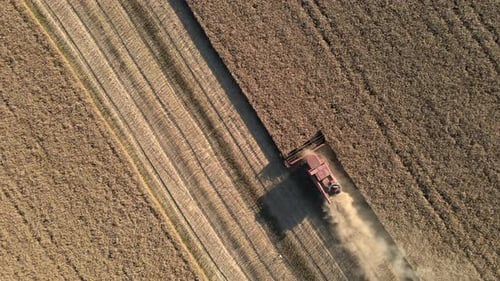 Combine Harvester Working a Rural Golden Field