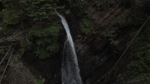 Small stream running between trees and into a waterfall inside lush forest covered with trees and mo