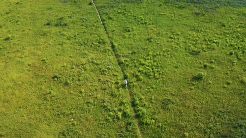 Ein Mann fährt Fahrrad auf dem Weg einer grünen Wiese