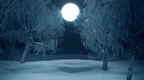 Flying On Snow Land 02 HD