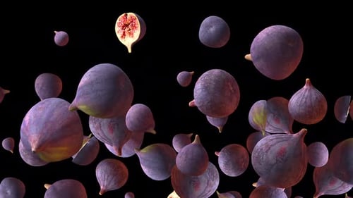 Seamless Loop of Floating Purple Figs Animation