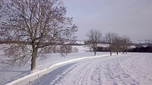 Paisaje invernal con camino rural