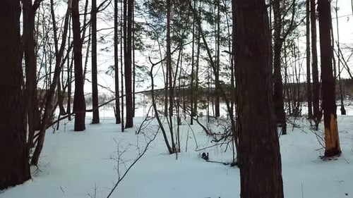 Winter, Februar, Steinbruch und Fluss 12