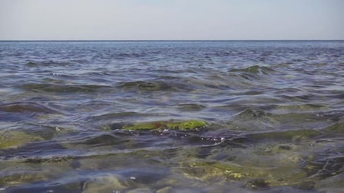Small Waves Roll on a Rock in the Water on the Shore