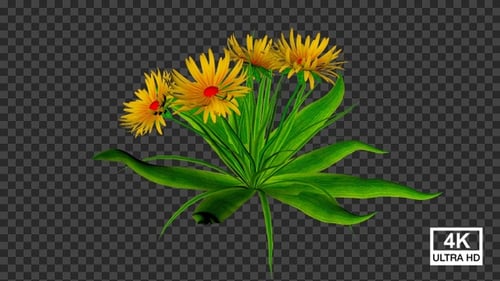 Animated Growth of a Bush with Yellow Flowers