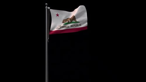 California State Flag,2K Prores 4444 Footage With Alpha