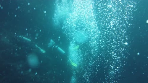 Scuba Divers Underwater
