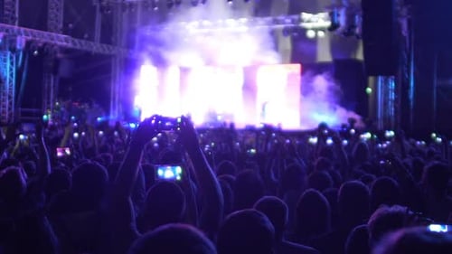 Crowd Enjoying Energetic Concert Performance at Night