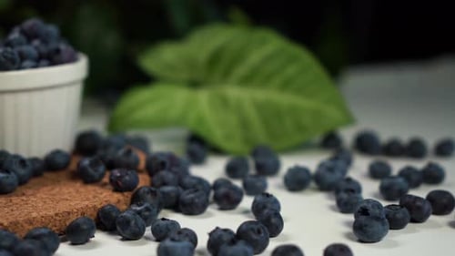 Close Up of Fresh Blueberries with Green Leaves
