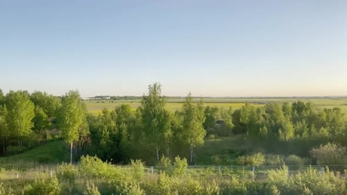 View From the Window of a Moving Train to Meadows Trees Fields at Sunset Against the Clear Sky