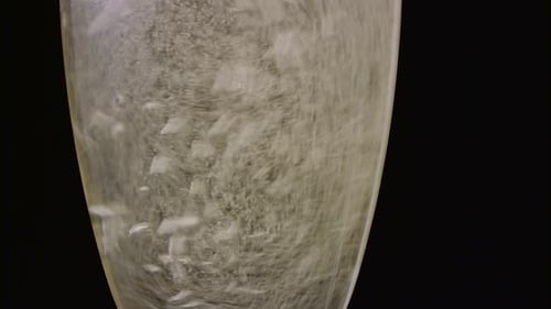 Glass of Champagne with a Rotating Bubbles Inside. Black Background. Close Up