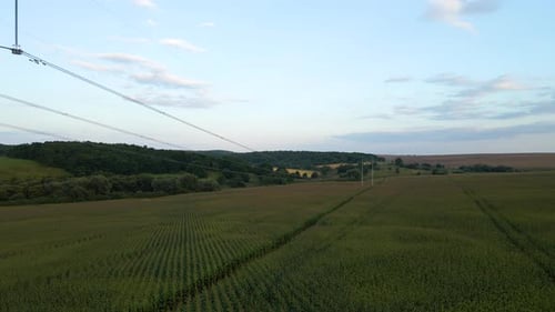 Tower with Electric Power Lines for Transfering High Voltage Electricity Located in Agricultural