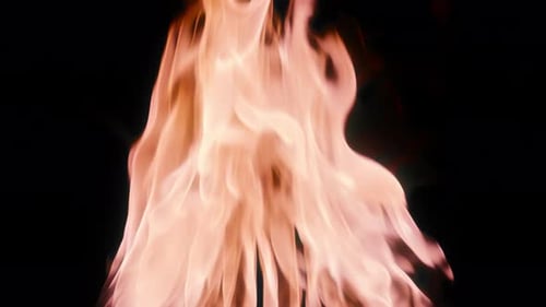 Flam Gas Fire Include Alpha