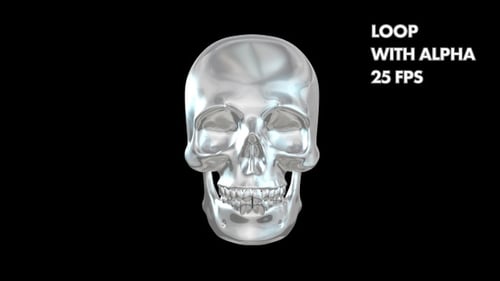 Rotating Metallic Skull 3D Animation