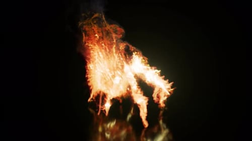 Burning Sammlung
