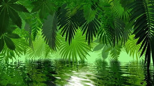 Lush Tropical Jungle Leaves and Water Reflection Loop