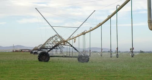 Automated sprinkler irrigation system in the farm 4k