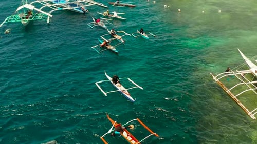 Tourists Snorkeling in Coral Reef Moalboal Philippines