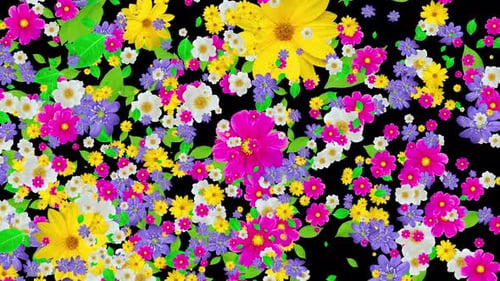 Blumen-Wirbel-Übergang 4K