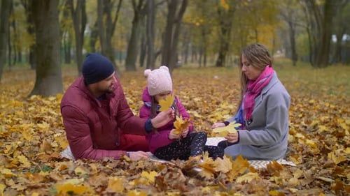 Family Enjoying Autumn Picnic in Park with Leaves