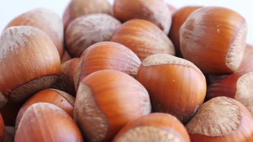 Pile of Hazelnuts Rotating on a White Surface