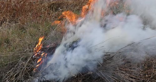 Während der Herbstreinigungsperiode steigt Rauch aus dem Feuer von Laub, Gras und Gartenabfällen auf