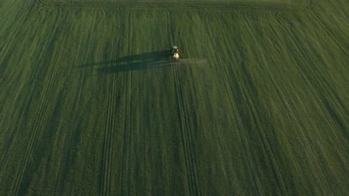 Tractor spraying a green field