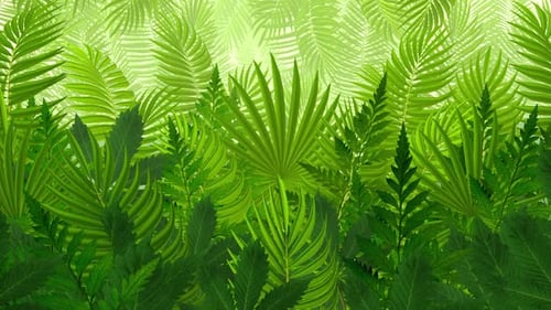 Lush Green Tropical Leaves Animated Seamless Loop Background