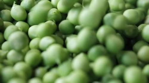 Fresh Green Peas Macro Food Shot