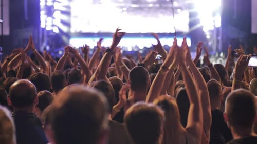 Energetic Crowd Cheering at a Nighttime Concert