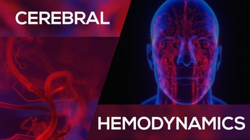 Hämodynamik des Gehirns Neon