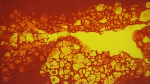 Vibrant Abstract Flowing Colors and Patterns