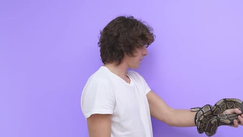 un homme a un peu peur d'un serpent qui rampe sur sa main, un jeune homme confus essaie de