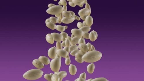 Falling of Roasted Peanuts in Purple Background