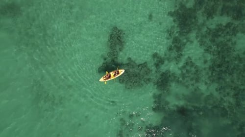 Kayak