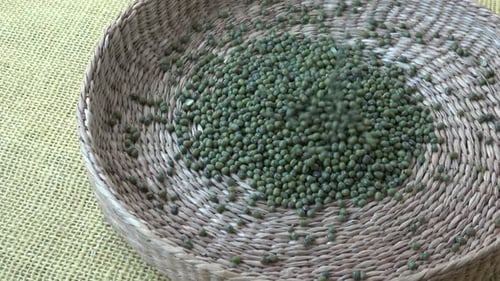 Frijoles mungo frescos. Judías verdes en cesta (Vigna radiata)