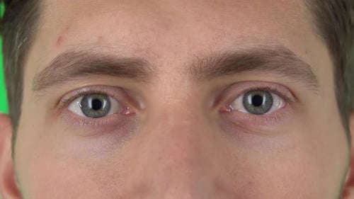Male Eyes Close Up, Macro Portrait