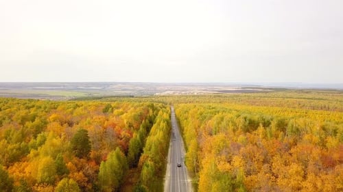 Autumn Nature Road
