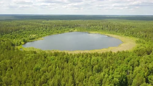 Landlicher Waldsee