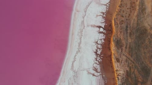 Vista aérea de un Zumbido al Lago Mineral Salado con agua rosada y costa